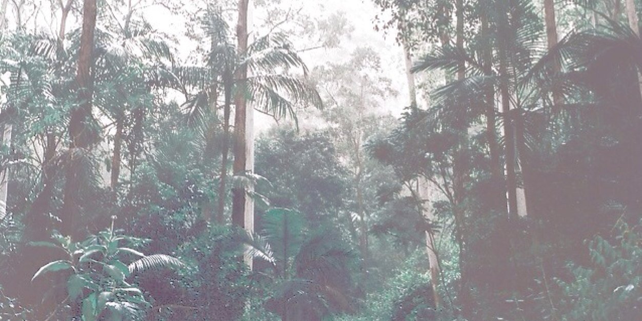 oomgdylan's profile banner image