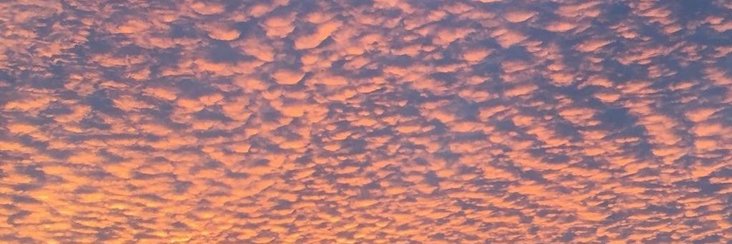 :^€ ☃️💚 banner