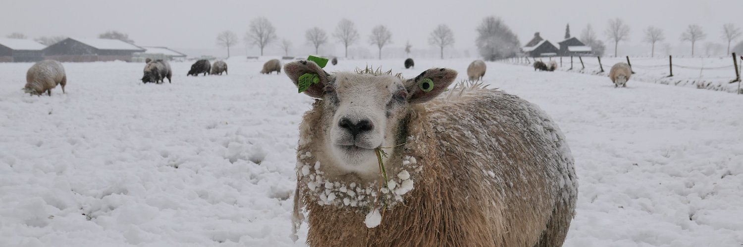 Gemeente Leusden banner