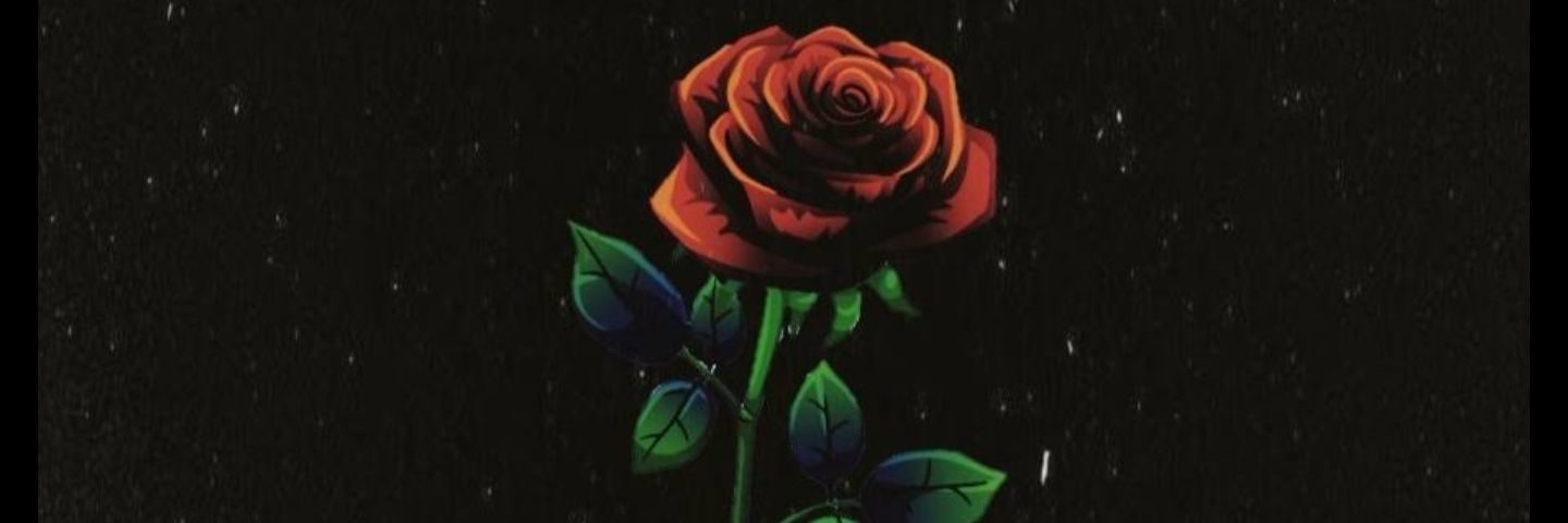 portii7's profile banner image