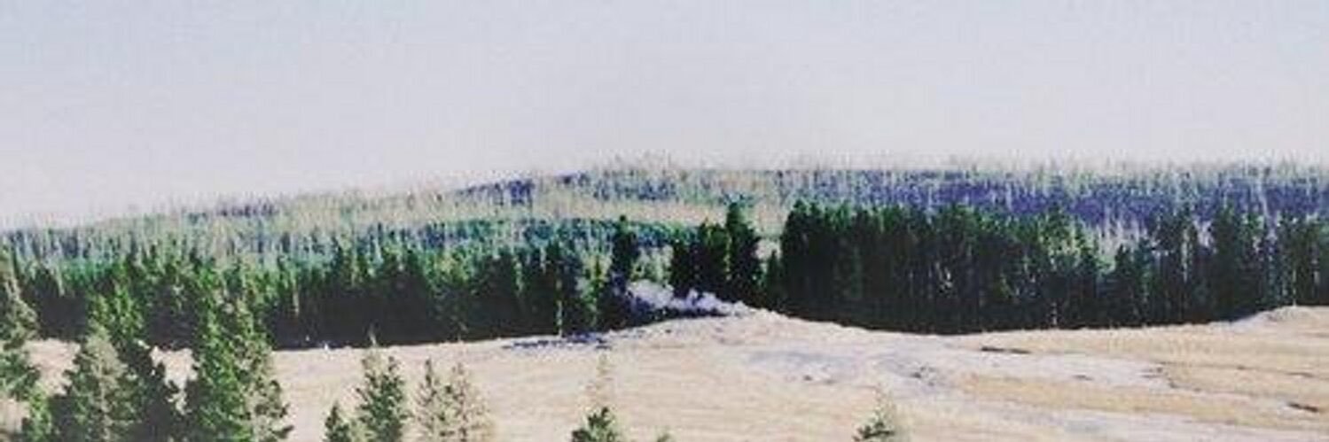 jbiebergdrss's profile banner image