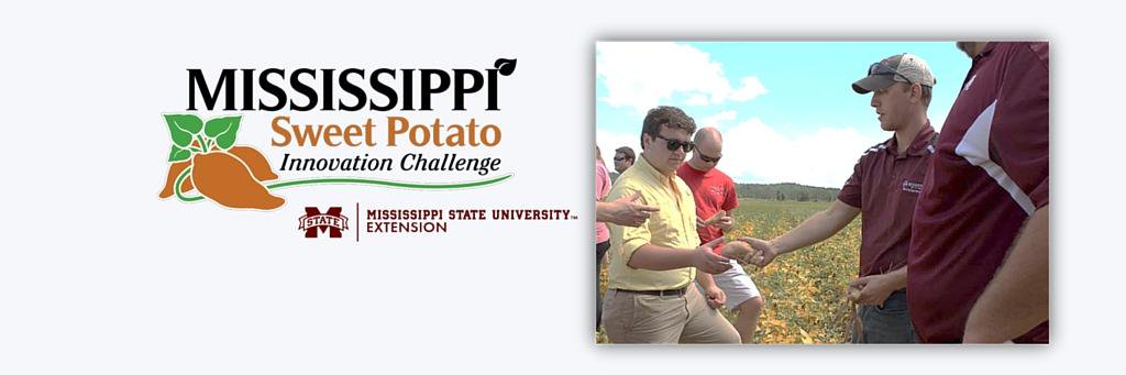 SPChallengeMSU's profile banner image