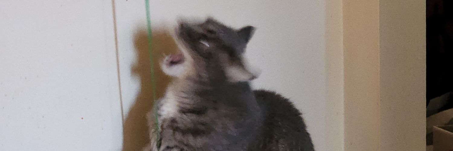 andicupcake's profile banner image
