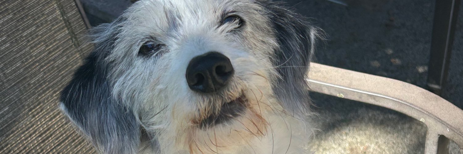 DougYoungdk's profile banner image