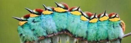 Erwin Witteveen banner