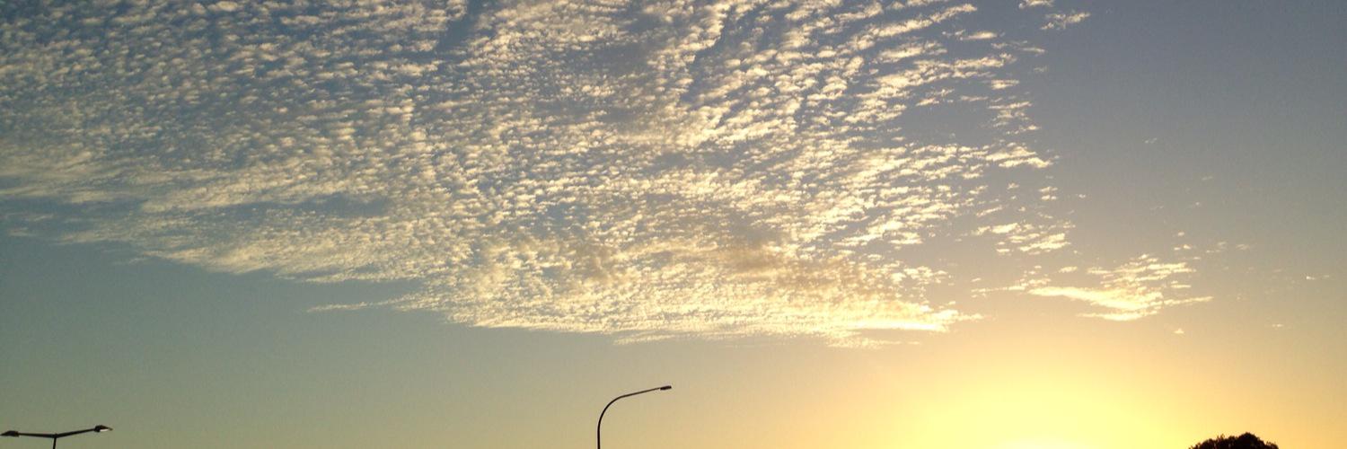shion9816's profile banner image