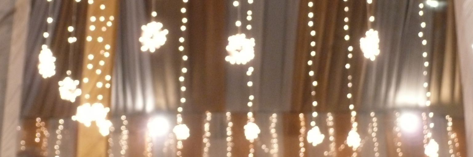 tausierra's profile banner image