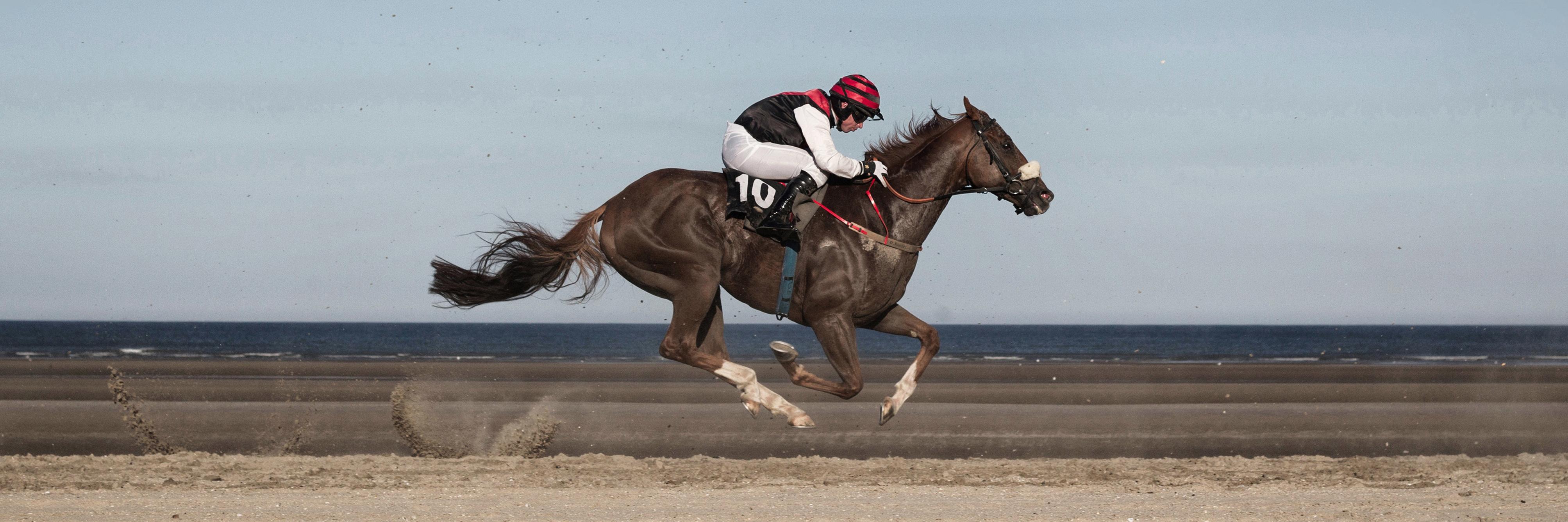 Patrick McCann banner