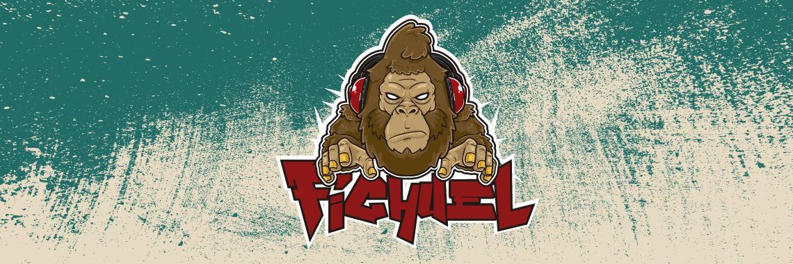 Fichuel banner