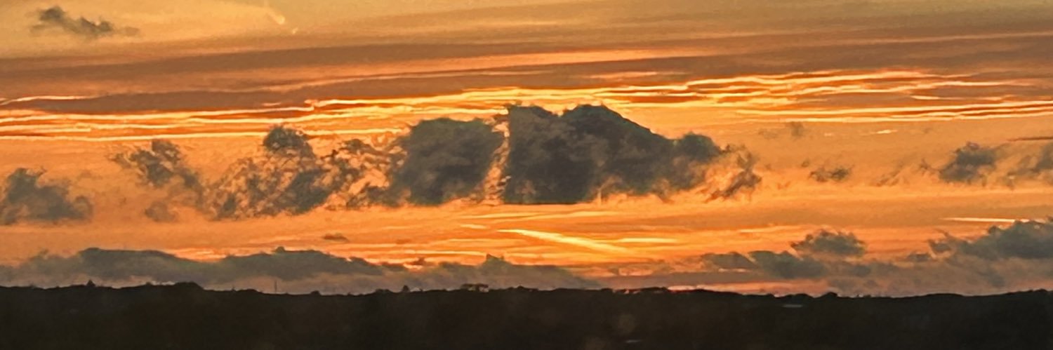 ellamitchell_'s profile banner image