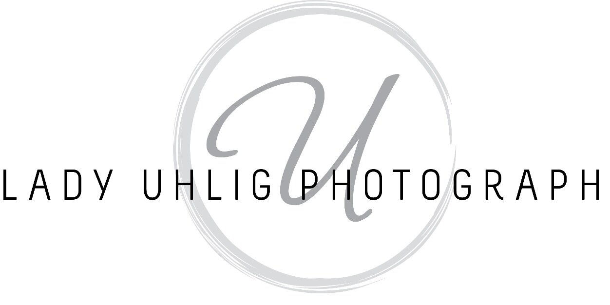 thestudio662's profile banner image