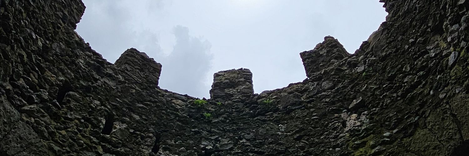 Meanderthal banner