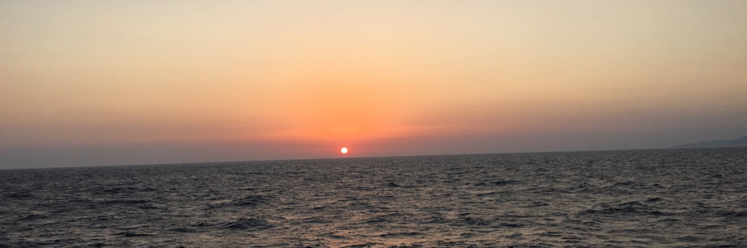 terebentaz's profile banner image