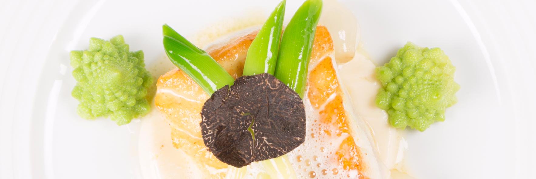 John Williams banner