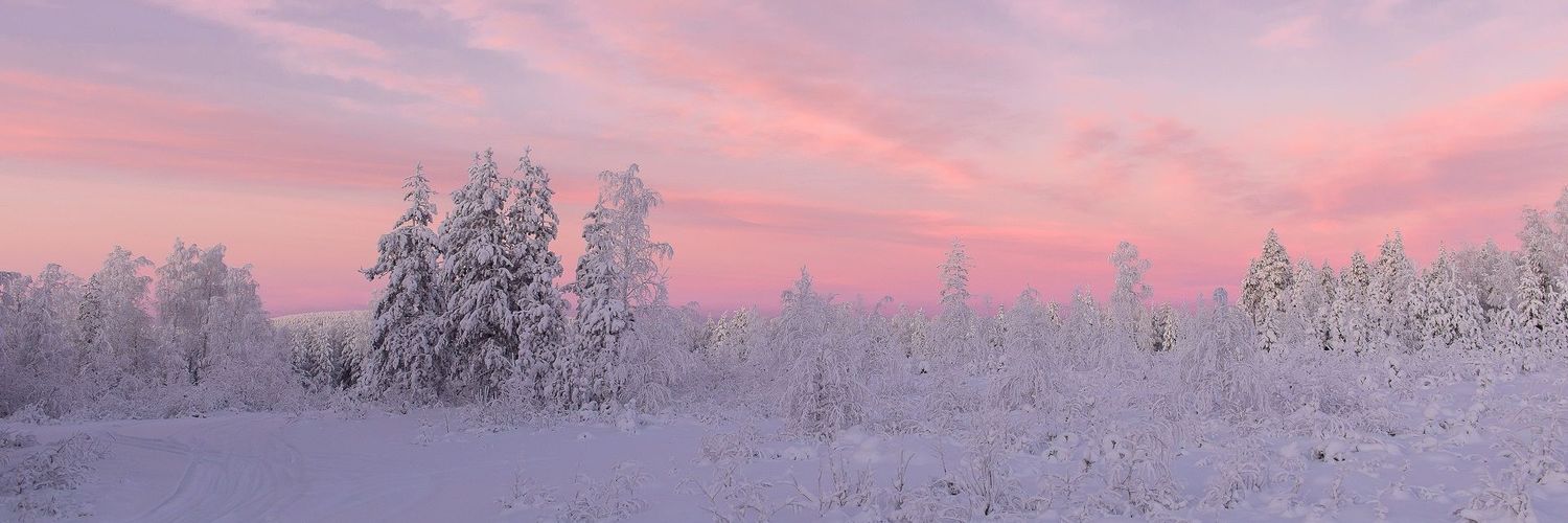 yle2300's profile banner image