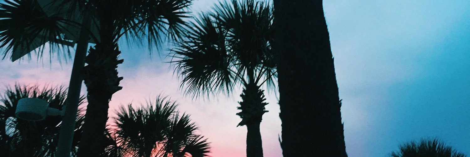ashleycanestro's profile banner image