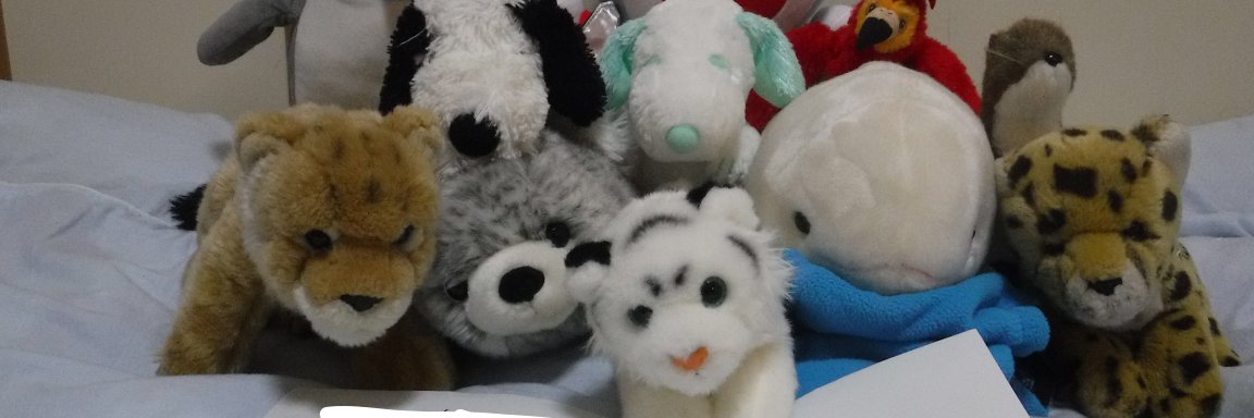 agoppa's profile banner image