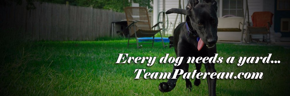 Susan_Patereau's profile banner image