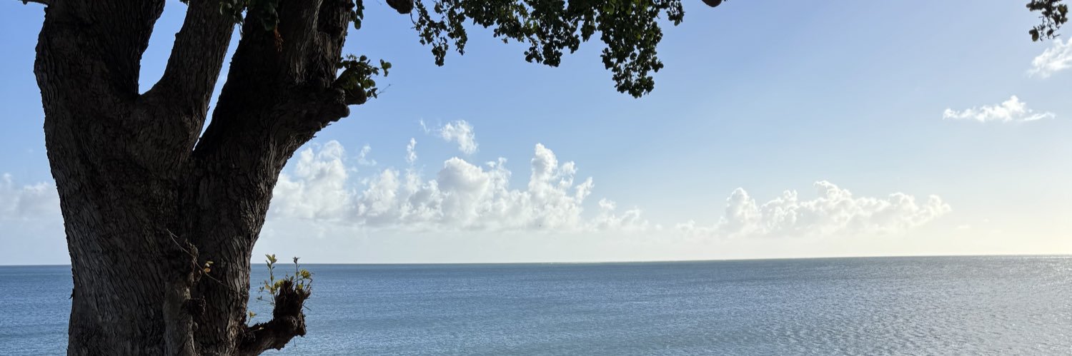 _Lisangelique's profile banner image
