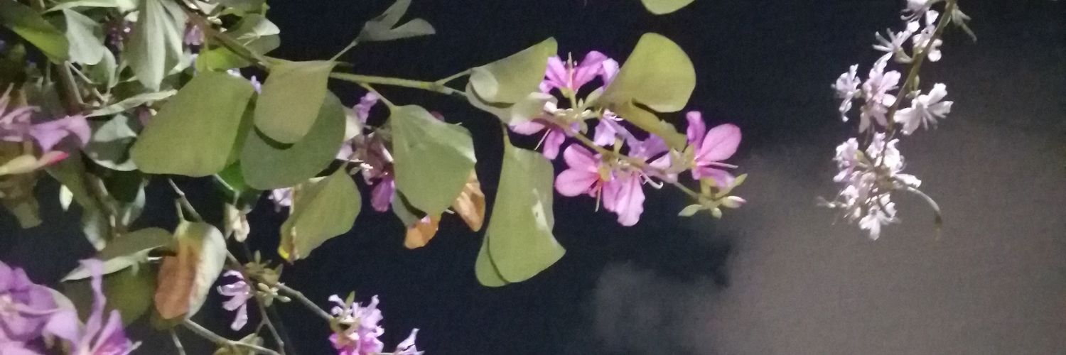 andymrtz2's profile banner image