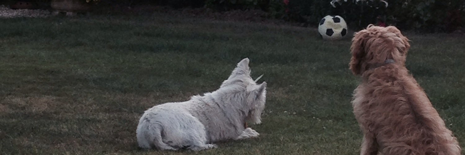 Mrs Sharpe 🌍 🌱 banner