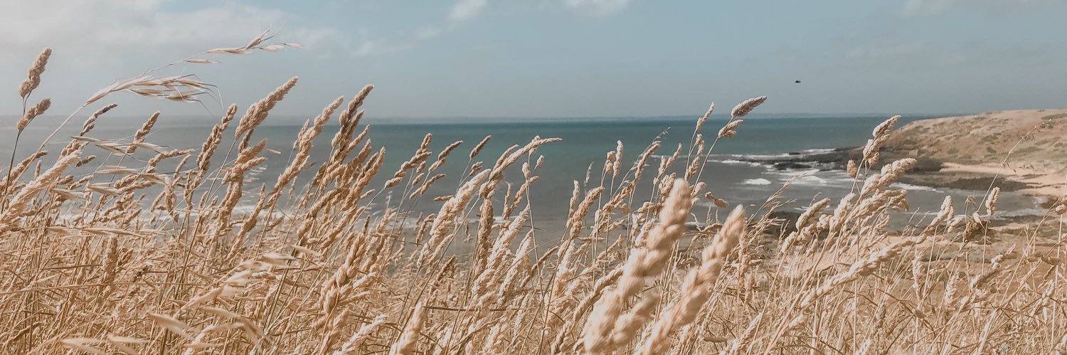 indygraham_'s profile banner image