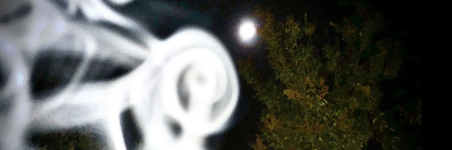 muiui6151's profile banner image