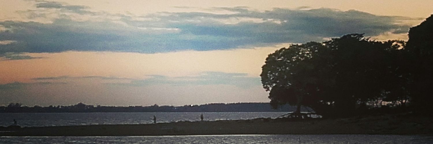 Selegonzalez14's profile banner image