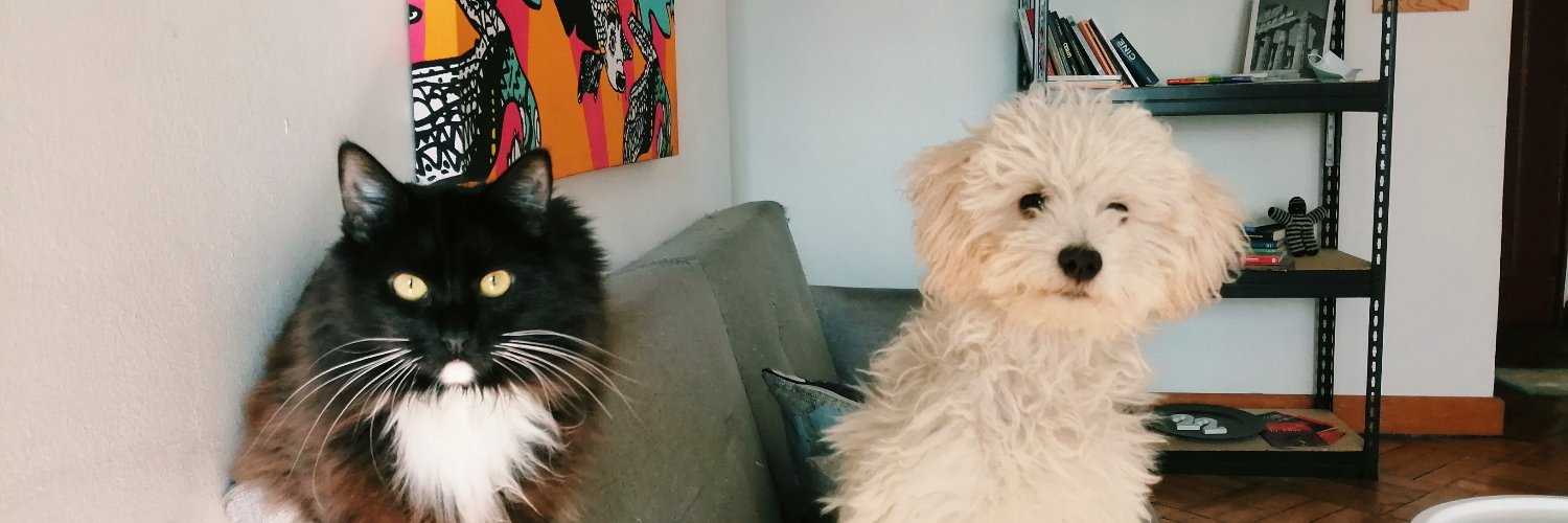 ohdearcaptain's profile banner image
