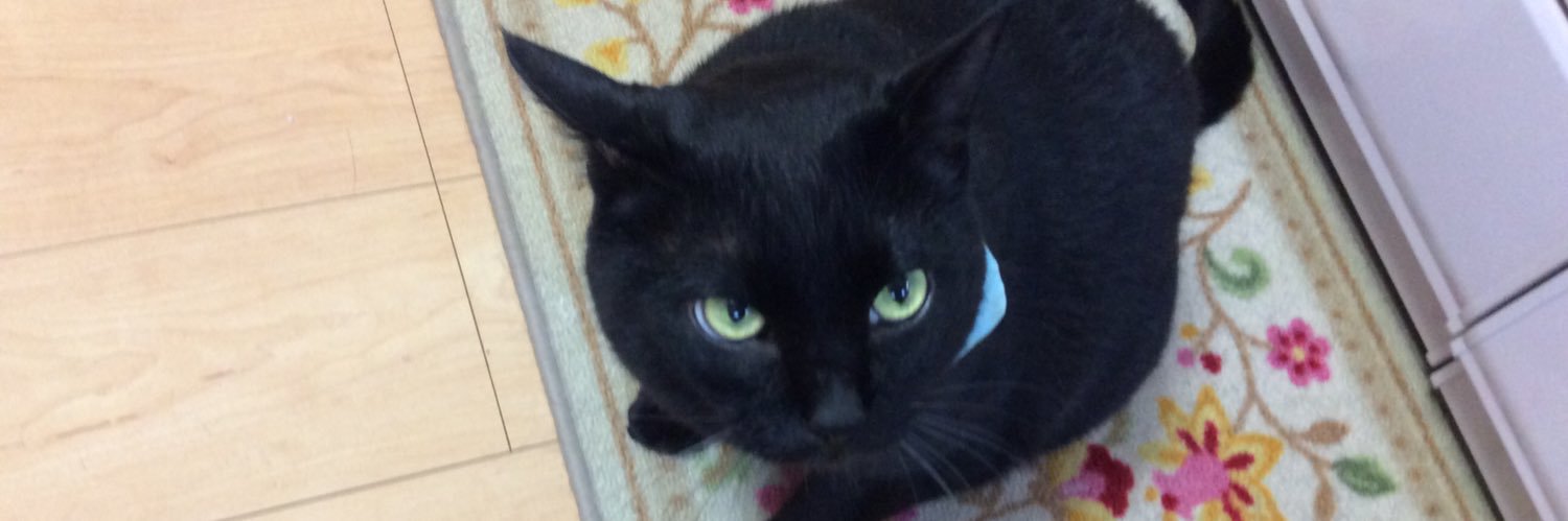 ガブリエル・クロ（猫と日本と地球love 🐈‍⬛） banner