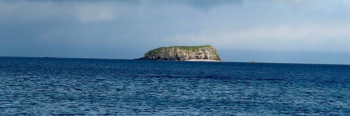 Chief Brodíe banner