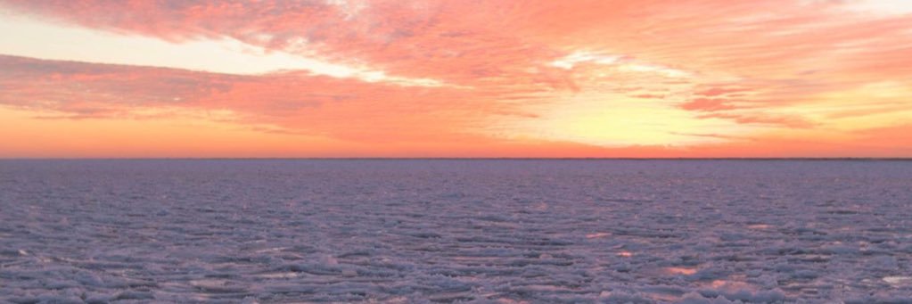 slschewe's profile banner image