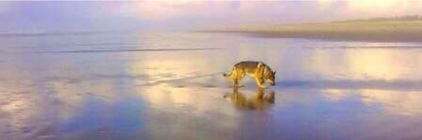 Boulderchick Profile Banner