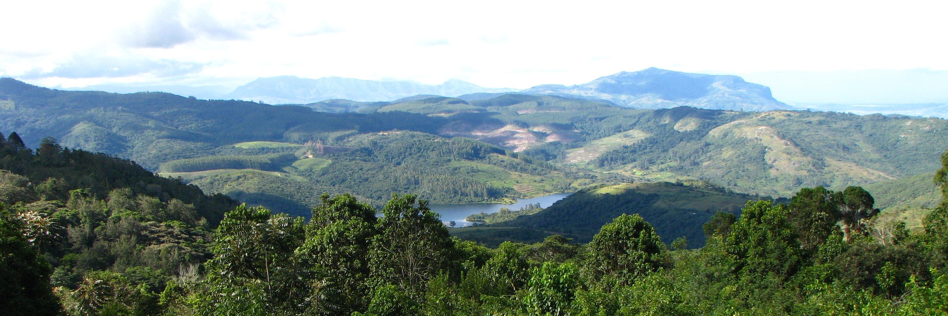 munyamalunga's profile banner image