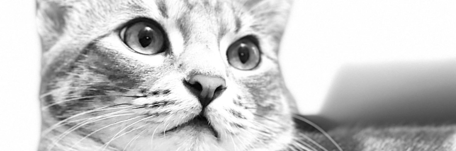 Reynnosaurus22's profile banner image
