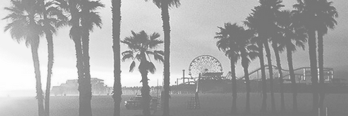 calmdownmaddy's profile banner image
