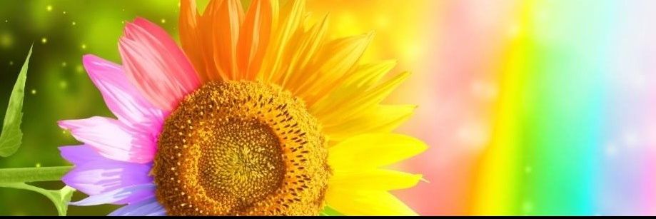 china_cnm's profile banner image