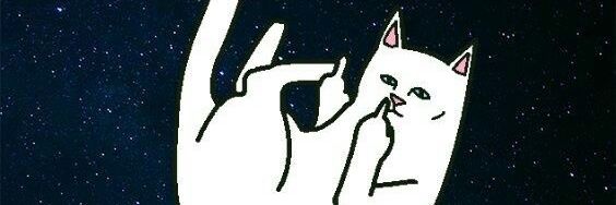 Schaggilicious's profile banner image