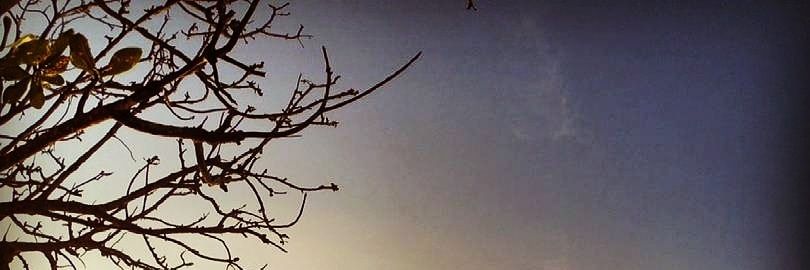 kusumasuryak's profile banner image