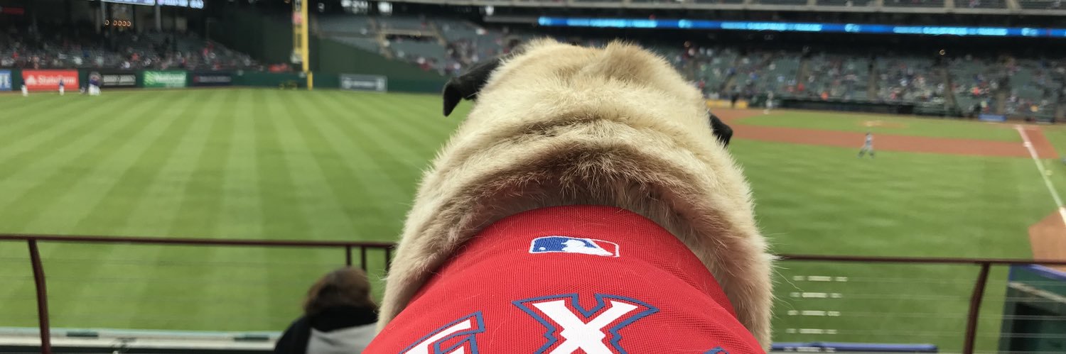 MadiTheShark's profile banner image