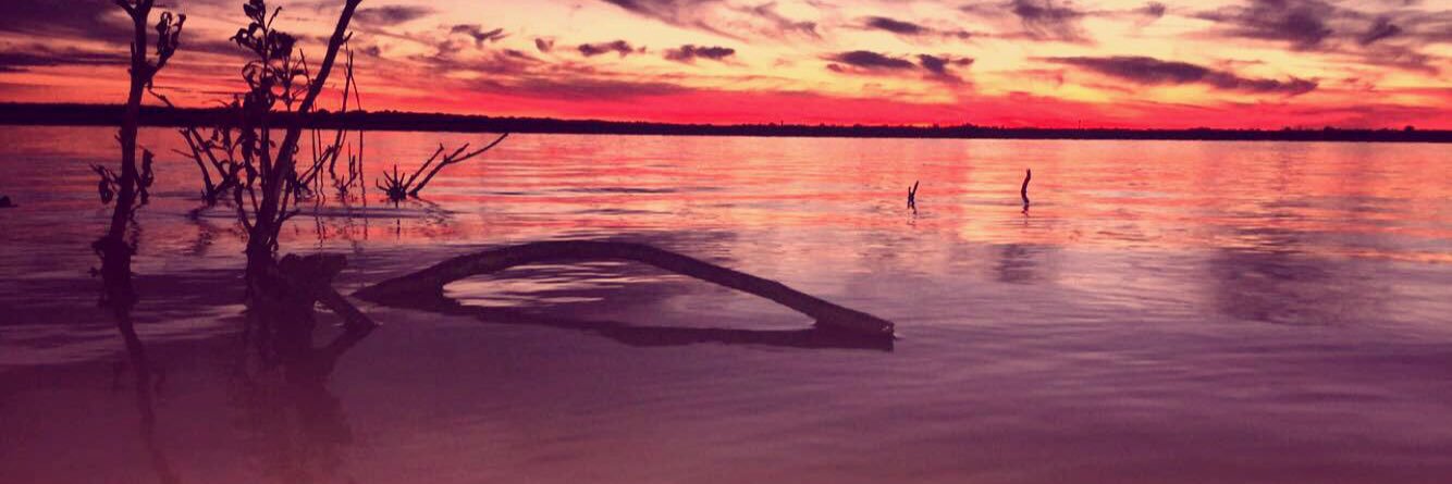 madii_griff's profile banner image