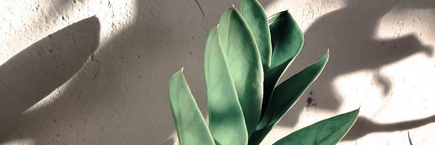 ꦆꦤꦱ꧀​ banner