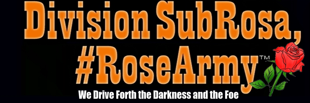 Steven Maggiolino banner