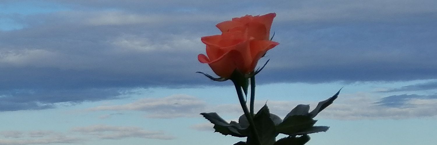 maite_efese's profile banner image