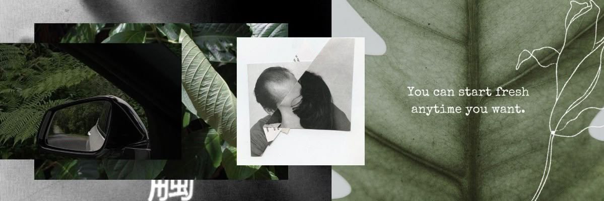 王 banner