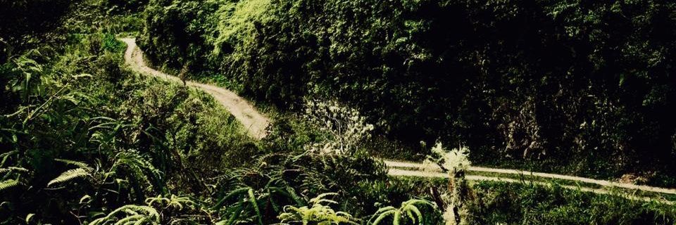 Capokun_'s profile banner image