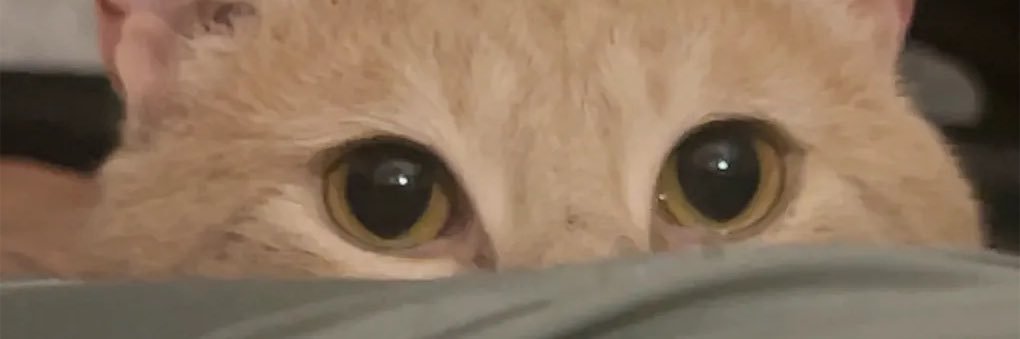 bexespi's profile banner image