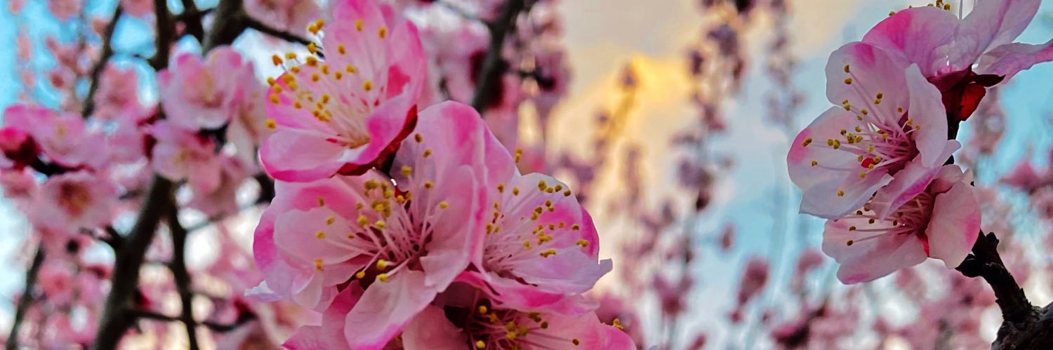 Fida_baloch7's profile banner image