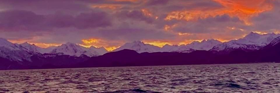 jamesfish70's profile banner image