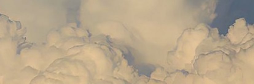 growthatrose's profile banner image